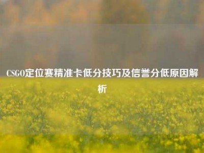 CSGO定位赛精准卡低分技巧及信誉分低原因解析