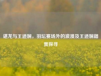 谌龙与王适娴，羽坛赛场外的浪漫及王适娴籍贯探寻