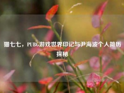 猫七七，PUBG游戏世界印记与尹海波个人简历探秘