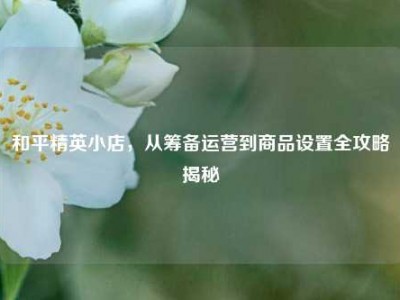 和平精英小店，从筹备运营到商品设置全攻略揭秘