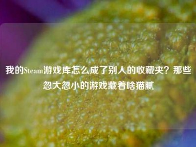 我的Steam游戏库怎么成了别人的收藏夹？那些忽大忽小的游戏藏着啥猫腻