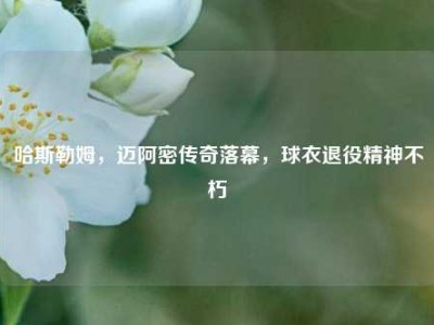 哈斯勒姆，迈阿密传奇落幕，球衣退役精神不朽