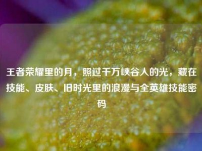 王者荣耀里的月，照过千万峡谷人的光，藏在技能、皮肤、旧时光里的浪漫与全英雄技能密码