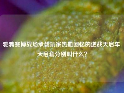 驰骋赛博战场承载玩家热血回忆的逆战天启车 天启套分别叫什么？