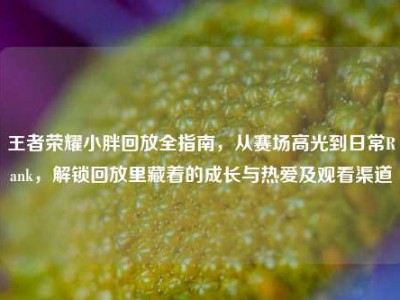 王者荣耀小胖回放全指南，从赛场高光到日常Rank，解锁回放里藏着的成长与热爱及观看渠道