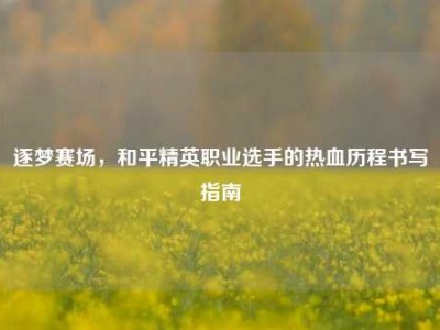 逐梦赛场，和平精英职业选手的热血历程书写指南