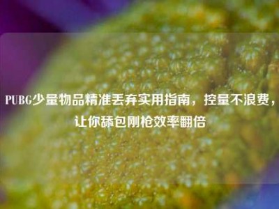 PUBG少量物品精准丢弃实用指南，控量不浪费，让你舔包刚枪效率翻倍