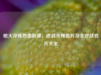 枪火淬炼热血勋章，逆战光辉名片及全逆战名片大全