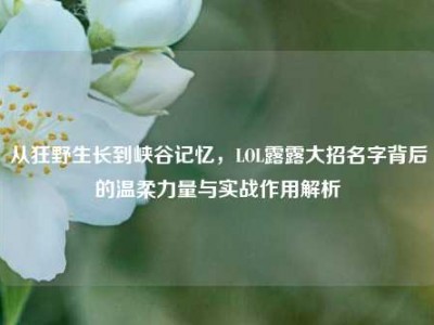从狂野生长到峡谷记忆，LOL露露大招名字背后的温柔力量与实战作用解析