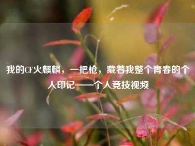 我的CF火麒麟，一把枪，藏着我整个青春的个人印记——个人竞技视频