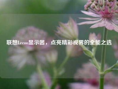 联想Lecoo显示器，点亮精彩视界的全能之选