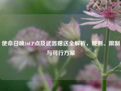 使命召唤16CP点及武器赠送全解析，规则、限制与可行方案