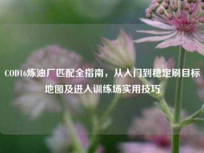 COD16炼油厂匹配全指南，从入门到稳定刷目标地图及进入训练场实用技巧