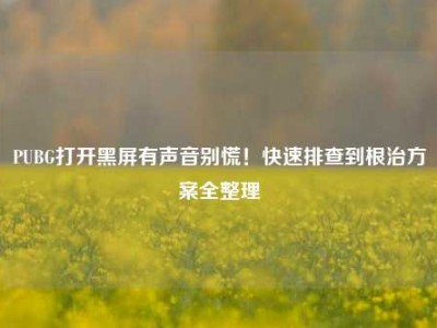 PUBG打开黑屏有声音别慌！快速排查到根治方案全整理