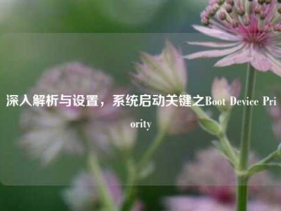 深入解析与设置，系统启动关键之Boot Device Priority