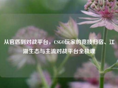 从官匹到对战平台，CSGO玩家的竞技归宿、江湖生态与主流对战平台全梳理