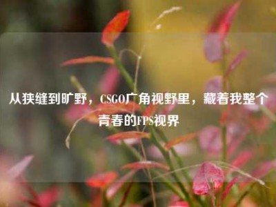 从狭缝到旷野，CSGO广角视野里，藏着我整个青春的FPS视界