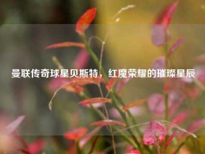 曼联传奇球星贝斯特，红魔荣耀的璀璨星辰