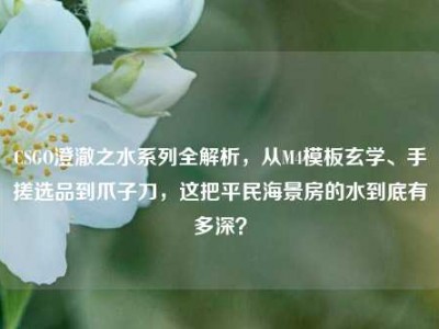 CSGO澄澈之水系列全解析，从M4模板玄学、手搓选品到爪子刀，这把平民海景房的水到底有多深？