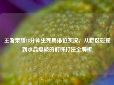 王者荣耀18分钟生死局排位实况，从野区碰撞到水晶爆破的前锋打法全解析