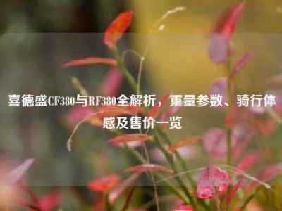 喜德盛CF380与RF380全解析，重量参数、骑行体感及售价一览