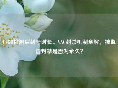 CSGO检测后封号时长、VAC封禁机制全解，被监管封禁是否为永久？