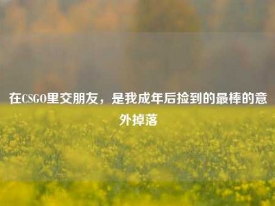 在CSGO里交朋友，是我成年后捡到的最棒的意外掉落