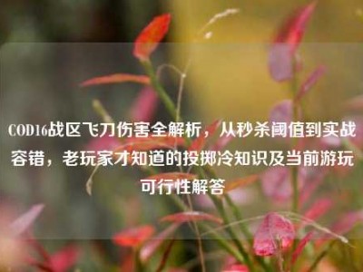 COD16战区飞刀伤害全解析，从秒杀阈值到实战容错，老玩家才知道的投掷冷知识及当前游玩可行性解答
