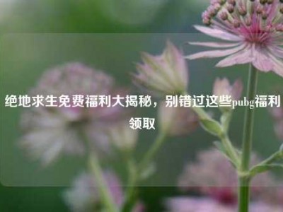 绝地求生免费福利大揭秘，别错过这些pubg福利领取