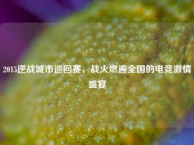 2015逆战城市巡回赛，战火燃遍全国的电竞激情盛宴