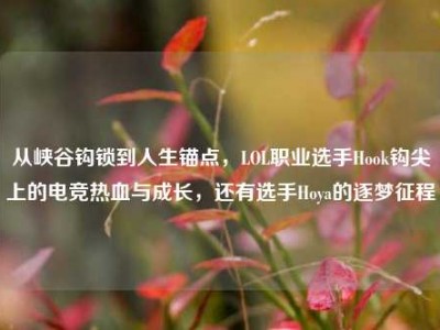 从峡谷钩锁到人生锚点，LOL职业选手Hook钩尖上的电竞热血与成长，还有选手Hoya的逐梦征程