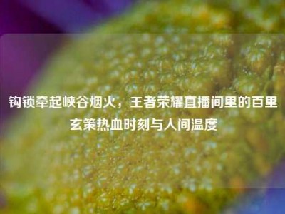 钩锁牵起峡谷烟火，王者荣耀直播间里的百里玄策热血时刻与人间温度