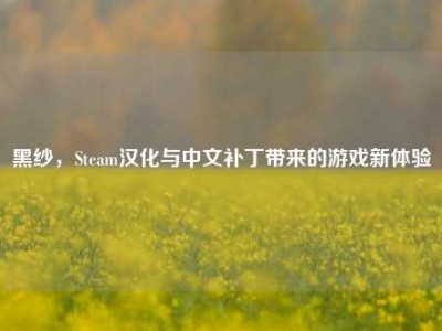 黑纱，Steam汉化与中文补丁带来的游戏新体验