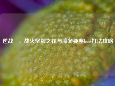 逆战凜，战火坚毅之花与凛冬要塞boss打法攻略