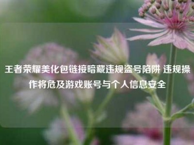 王者荣耀美化包链接暗藏违规盗号陷阱 违规操作将危及游戏账号与个人信息安全