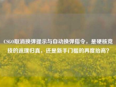 CSGO取消换弹提示与自动换弹指令，是硬核竞技的返璞归真，还是新手门槛的再度抬高？