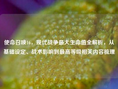 使命召唤16，现代战争最大生命值全解析，从基础设定、战术影响到最高等级相关内容梳理