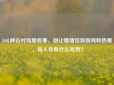 LOL峡谷对骂那些事，别让情绪垃圾毁纯粹热爱，骂人会有什么处罚？