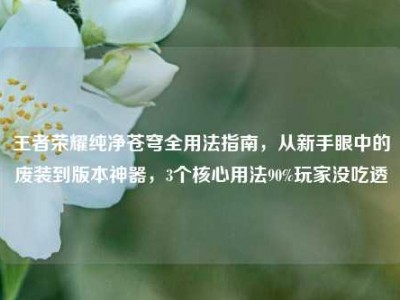 王者荣耀纯净苍穹全用法指南，从新手眼中的废装到版本神器，3个核心用法90%玩家没吃透