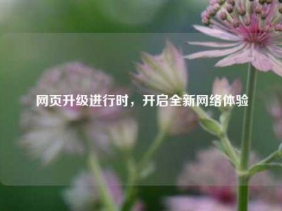 网页升级进行时，开启全新网络体验