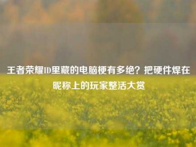 王者荣耀ID里藏的电脑梗有多绝？把硬件焊在昵称上的玩家整活大赏