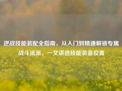 逆战技能装配全指南，从入门到精通解锁专属战斗流派，一文讲透技能装备位置