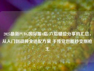2025最新PUBG国际服4指/六指键位分享码汇总，从入门到战神全适配方案 手残党也能秒变刚枪王