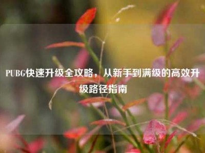 PUBG快速升级全攻略，从新手到满级的高效升级路径指南