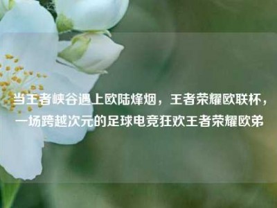 当王者峡谷遇上欧陆烽烟，王者荣耀欧联杯，一场跨越次元的足球电竞狂欢王者荣耀欧弟