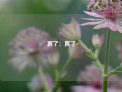 赢了：赢了