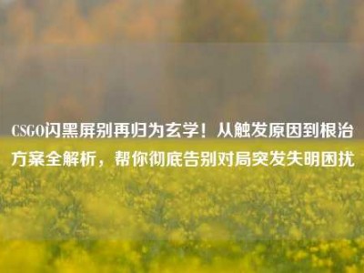 CSGO闪黑屏别再归为玄学！从触发原因到根治方案全解析，帮你彻底告别对局突发失明困扰