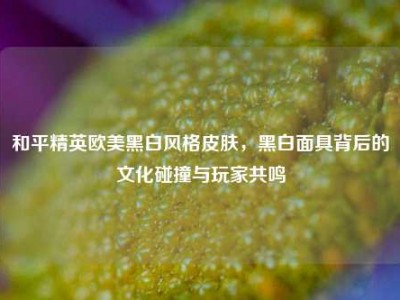 和平精英欧美黑白风格皮肤，黑白面具背后的文化碰撞与玩家共鸣