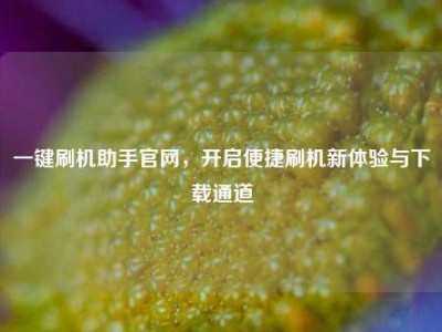 一键刷机助手官网，开启便捷刷机新体验与下载通道