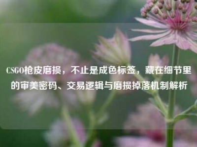 CSGO枪皮磨损，不止是成色标签，藏在细节里的审美密码、交易逻辑与磨损掉落机制解析